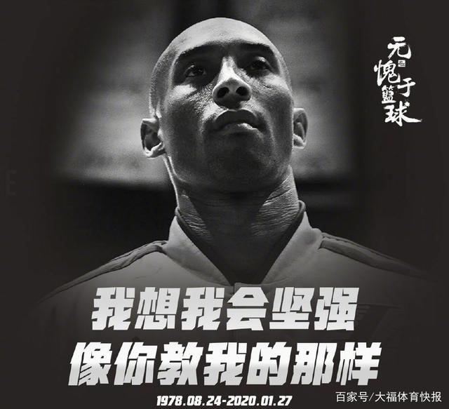 案提